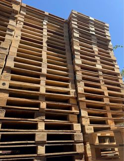 50 48x40 ply wood pallets four way block