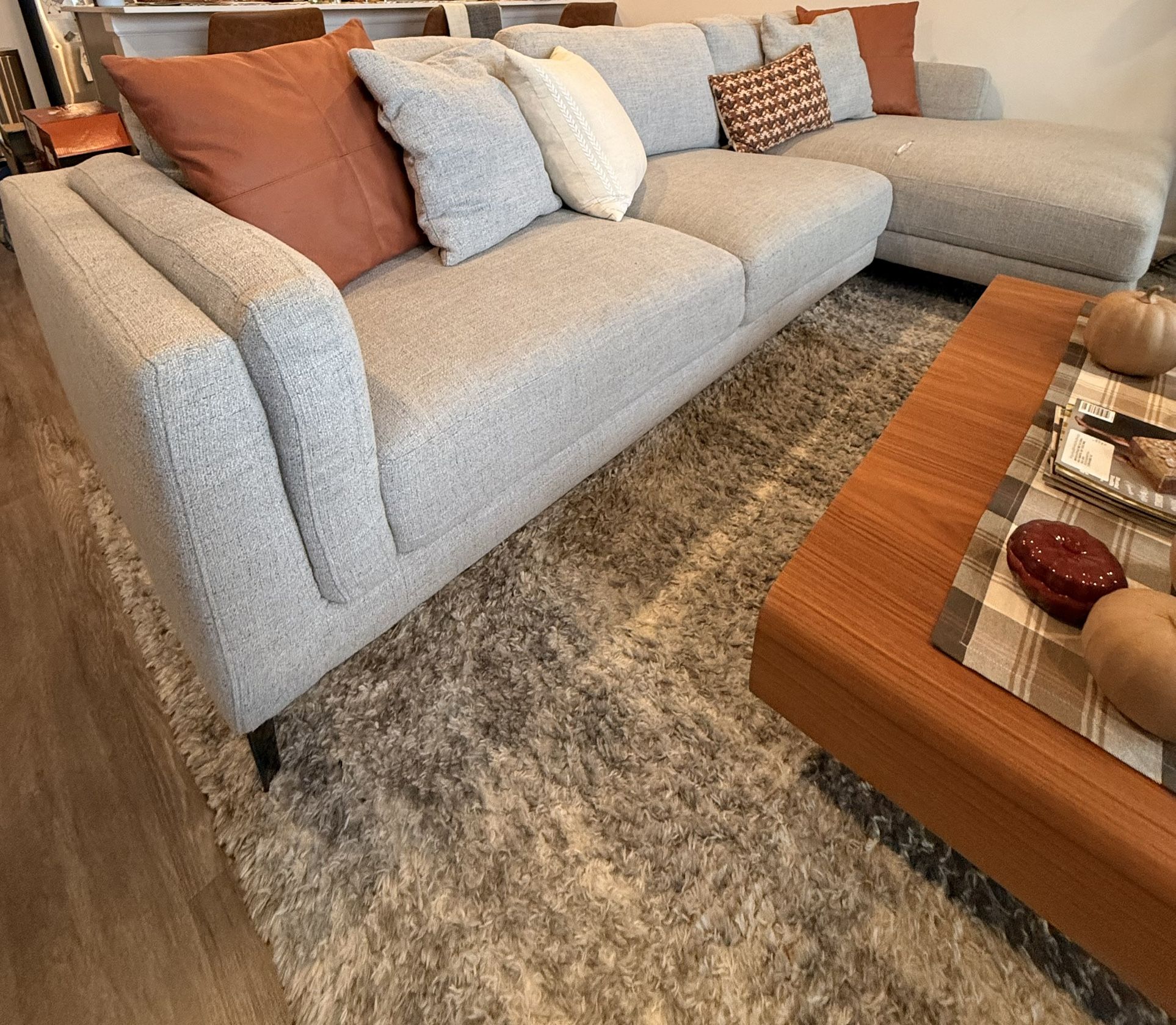 Living Spaces Sectional Couch 