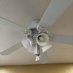 Ceiling Fans Like new