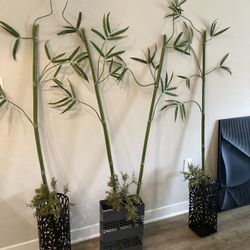 Fake Bamboo With Pots 