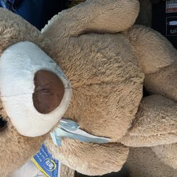 Big Teddy Bear