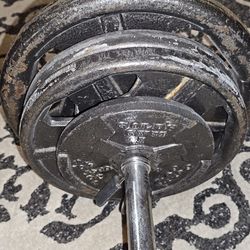 Standard Weight Plates  With Bar