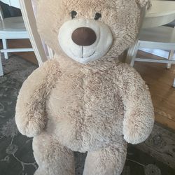 Teddy Bear Big Size