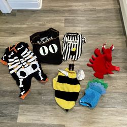 Halloween Dog Costumes $5 Ea. 