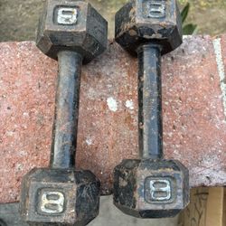 2 Dumbbells $18