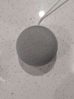 Google Nest Mini