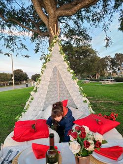🌸✨️💞Picnic Romantico,Cinema,Musica Y Mas!🎬📷💖