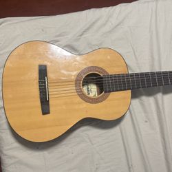 Handcrafted Horner Guitar