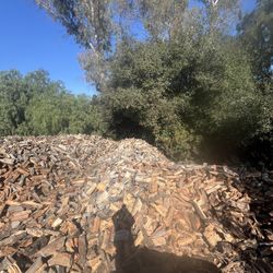 Firewood 