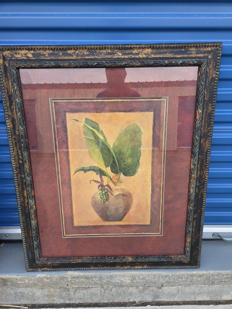 Plant Picture Frame 