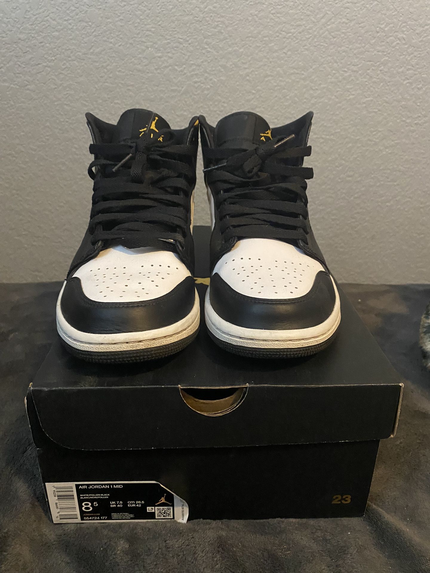 Jordan Pollen - Main Image