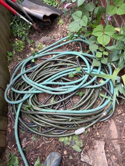 Garden Hose Lot of 3. ALL for $25