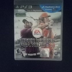 PS3 TIGER WOODS PGA TOUR 13