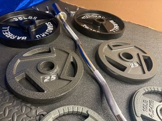 NEW Olympic Equipment Curl Bar of 20# with Cooper Bearings and Plates 2X35s, 2X25s, 2X10s and 2X5s pounds. Brute 170#
