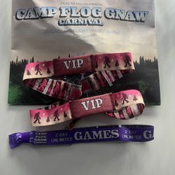 2 Camp Flognaw VIP Tickets With 1 VIP Merch Box & 1 2-Day Game Pass