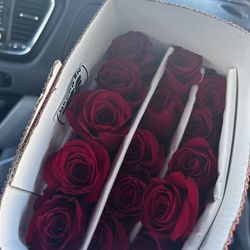 Place your Mother’s Day Preorders Now!