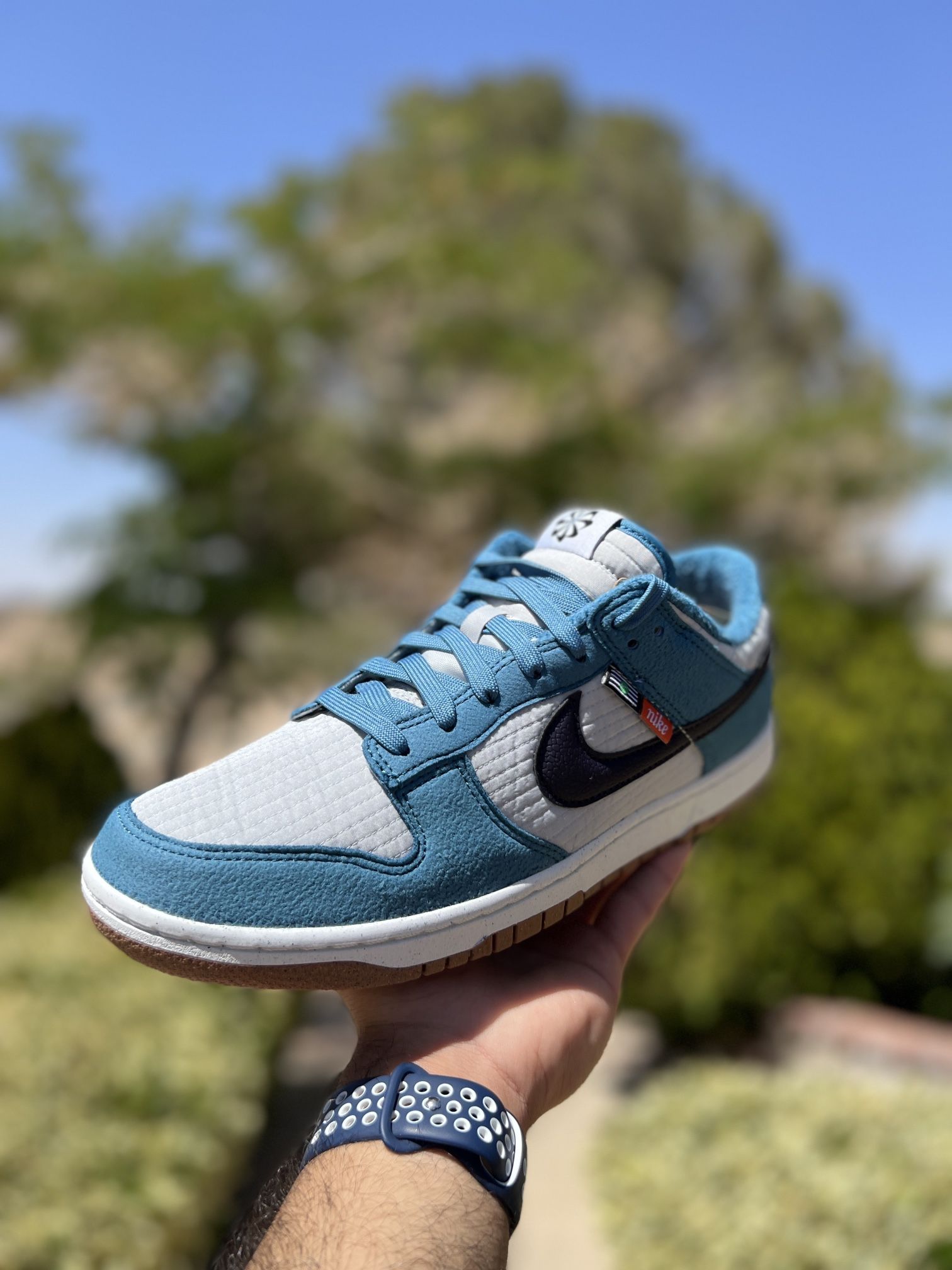 HOT Nike Dunk Nike Aqua Rift Size Chart Nike Dunk Low Rift Blue