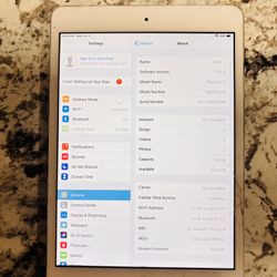 iPad Mini 