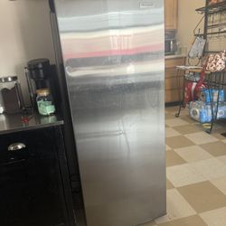 Upright Freezer 