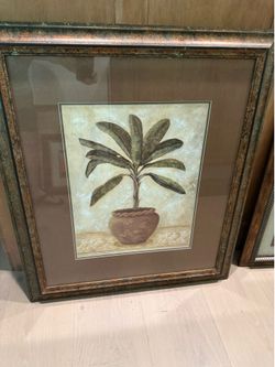 Tommy Bahama style pictures