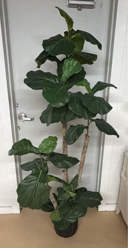78” Tall Artificial Fiddle Leaf Fig Tree – Large Faux Plant w/ Decorative Planter