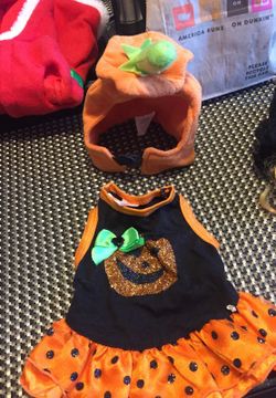 Halloween outfit for cat or dog
