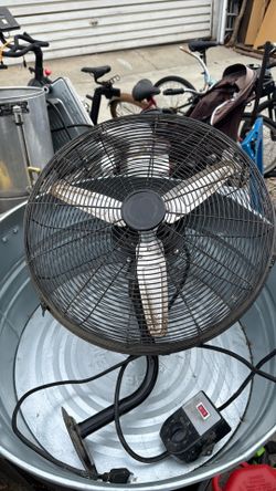 Fan