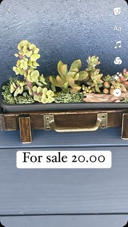 Wooden Planter
