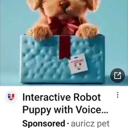 2 Springsuits Wetsuits