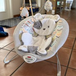 Fischer Price Baby Bouncer
