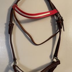 English Show Halter leather with red brow-band, horse size, new 