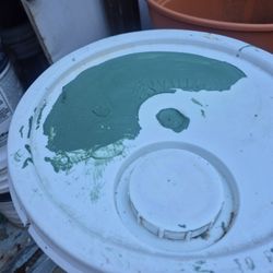 Pintura Nueva Color Verde $75