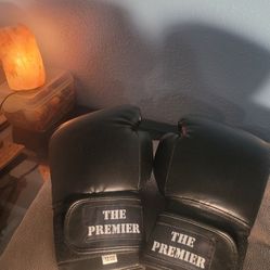 SUPER COOL BOXING GLOVES THE PREMIER