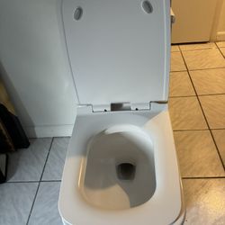 Free Toilets 