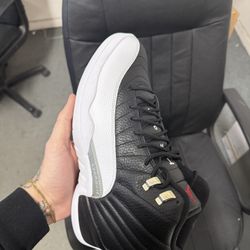 Brand New Playoff Jordan 12s Sz 10 