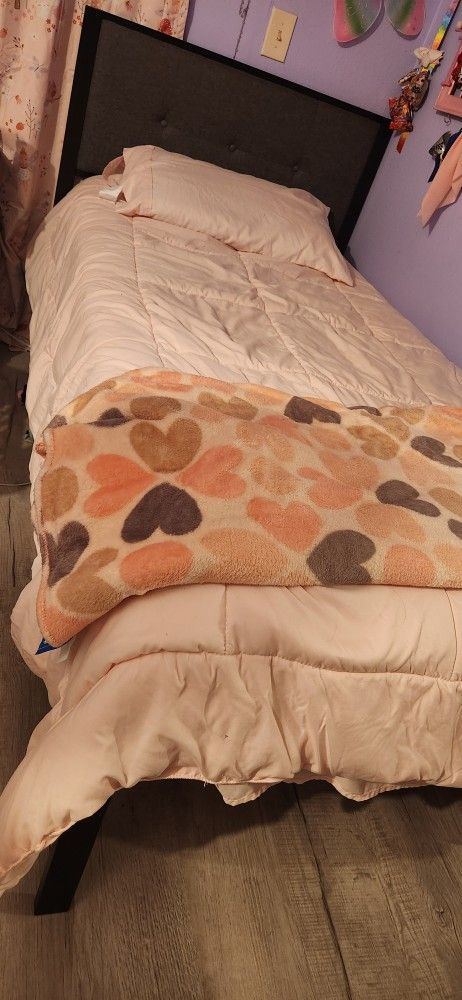Twin Bed Frame And Foam Mattress. 