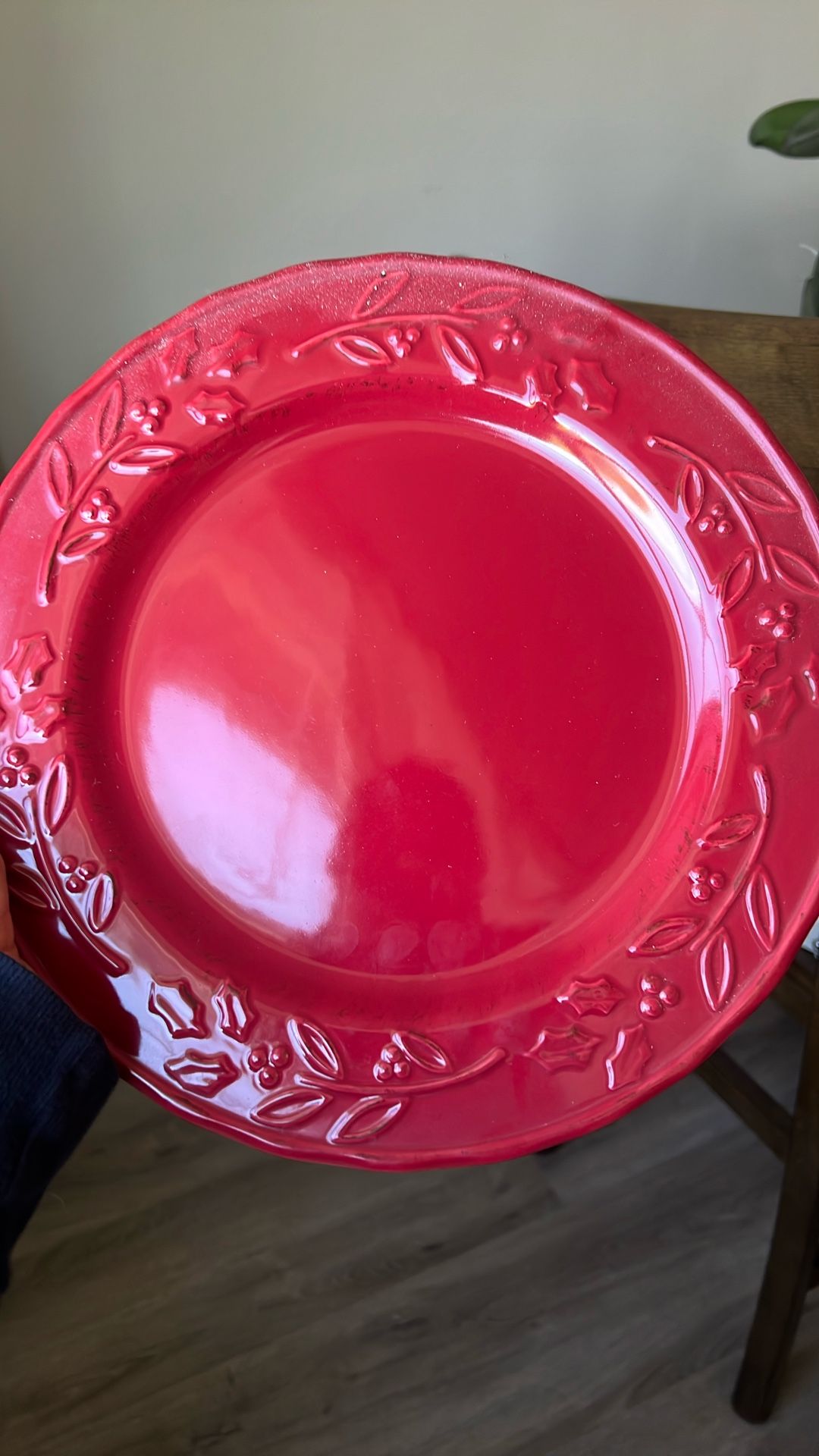 Christmas π Brand New Dinner Plates