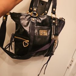 Blk Poppy Coach Mint Pet Dmk Free