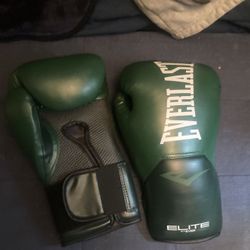 Everlast  Boxing Gloves 
