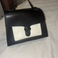 Black and White Purse