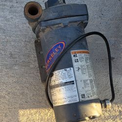 Transfer  Water Pump