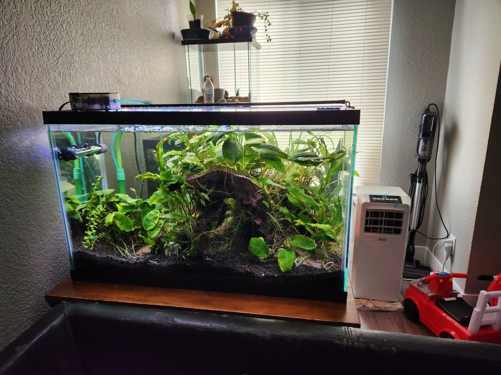 29 Gal Aquarium