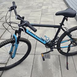 Bike  Medium Size Frame