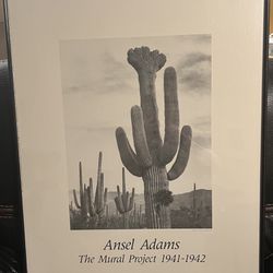 Ansel ADAMS Cactus In Saguaros, Seguaro Nat’l Monument, AZ