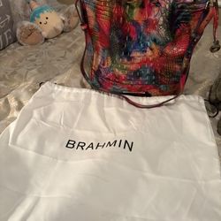 Multicolor Brahmin Purse