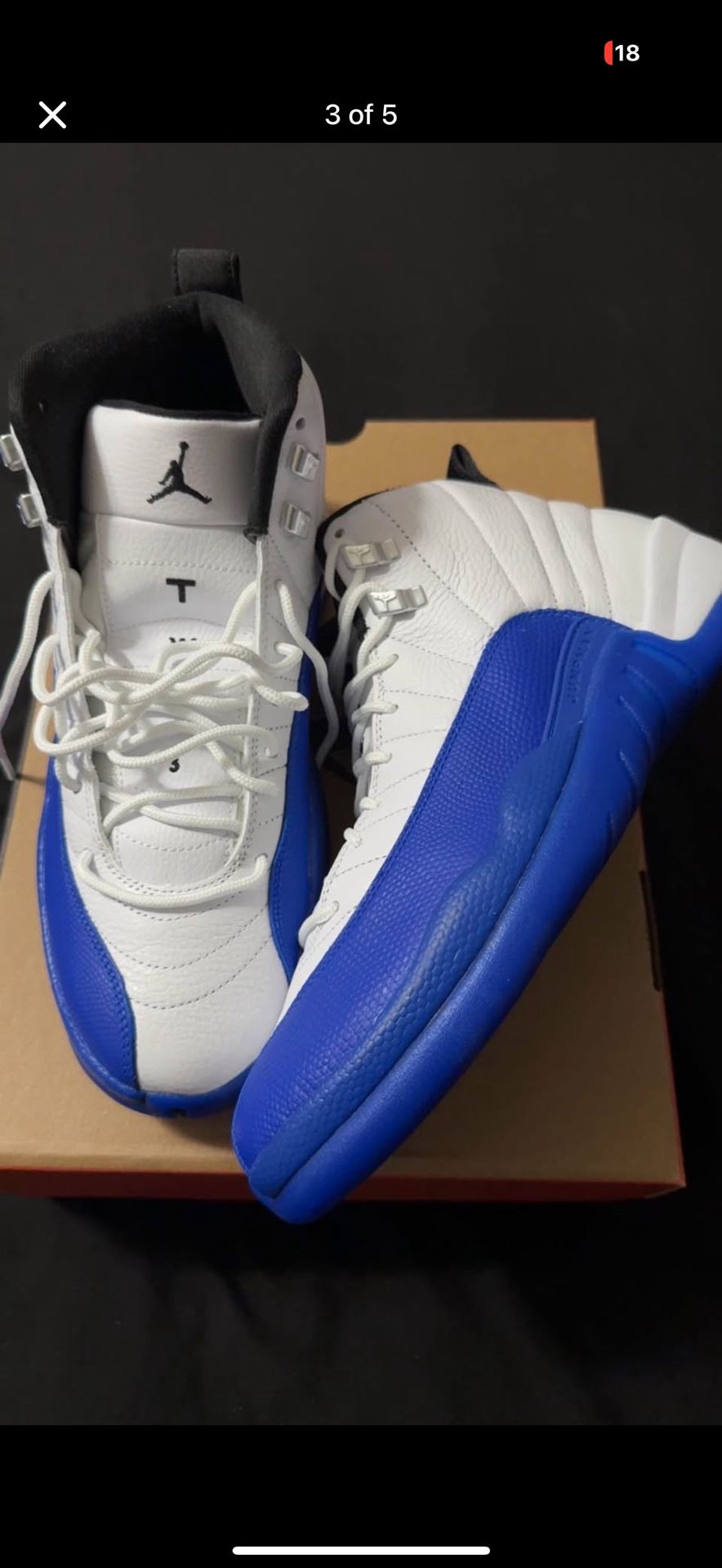 Blueberry Air Jordan 12