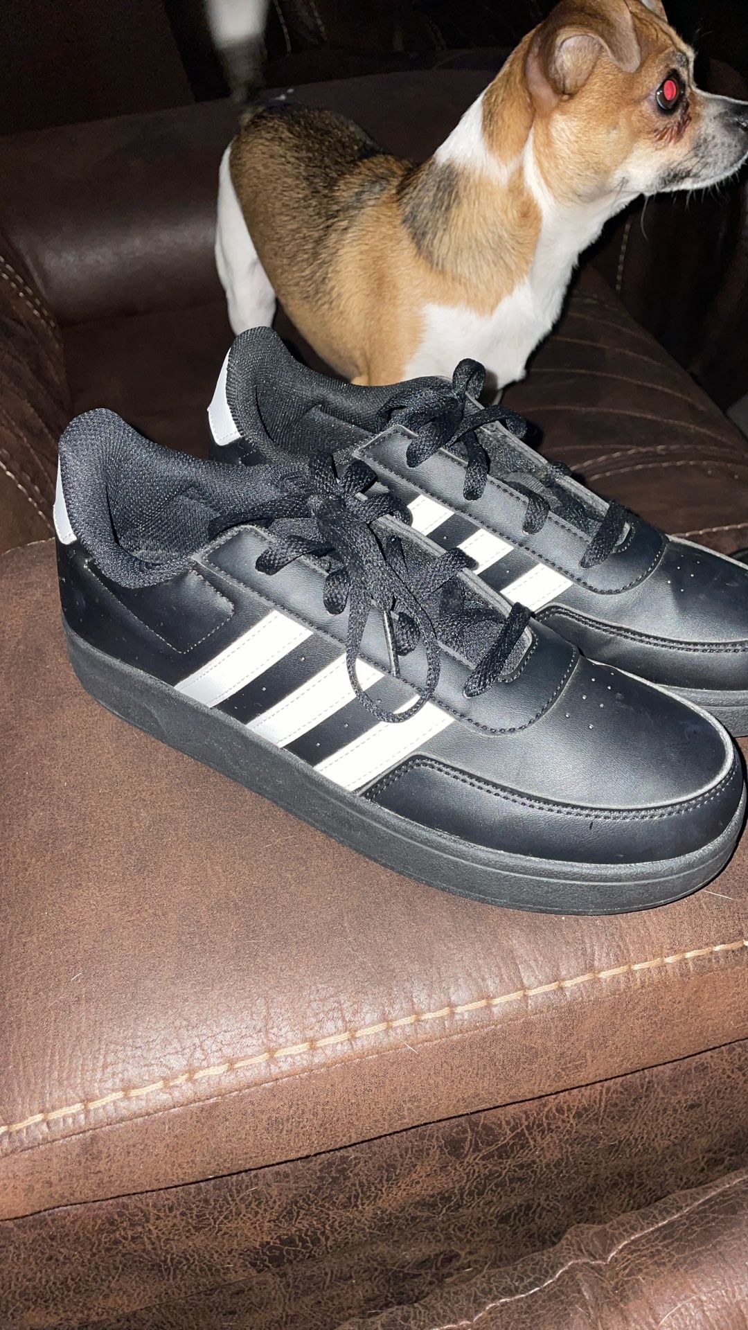 adidas’s