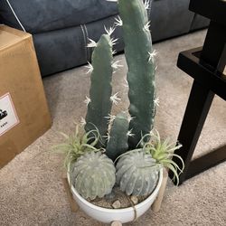 Faux Cacti Arrangement