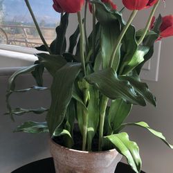 Artificial Flower Pot 