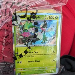 Pokemon Cards Holo And Reverse Holo 